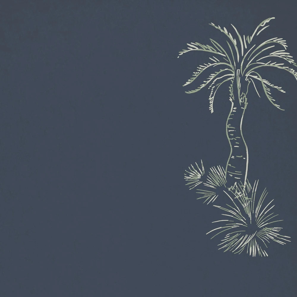 Lighthouse Palm — Blue Pearl