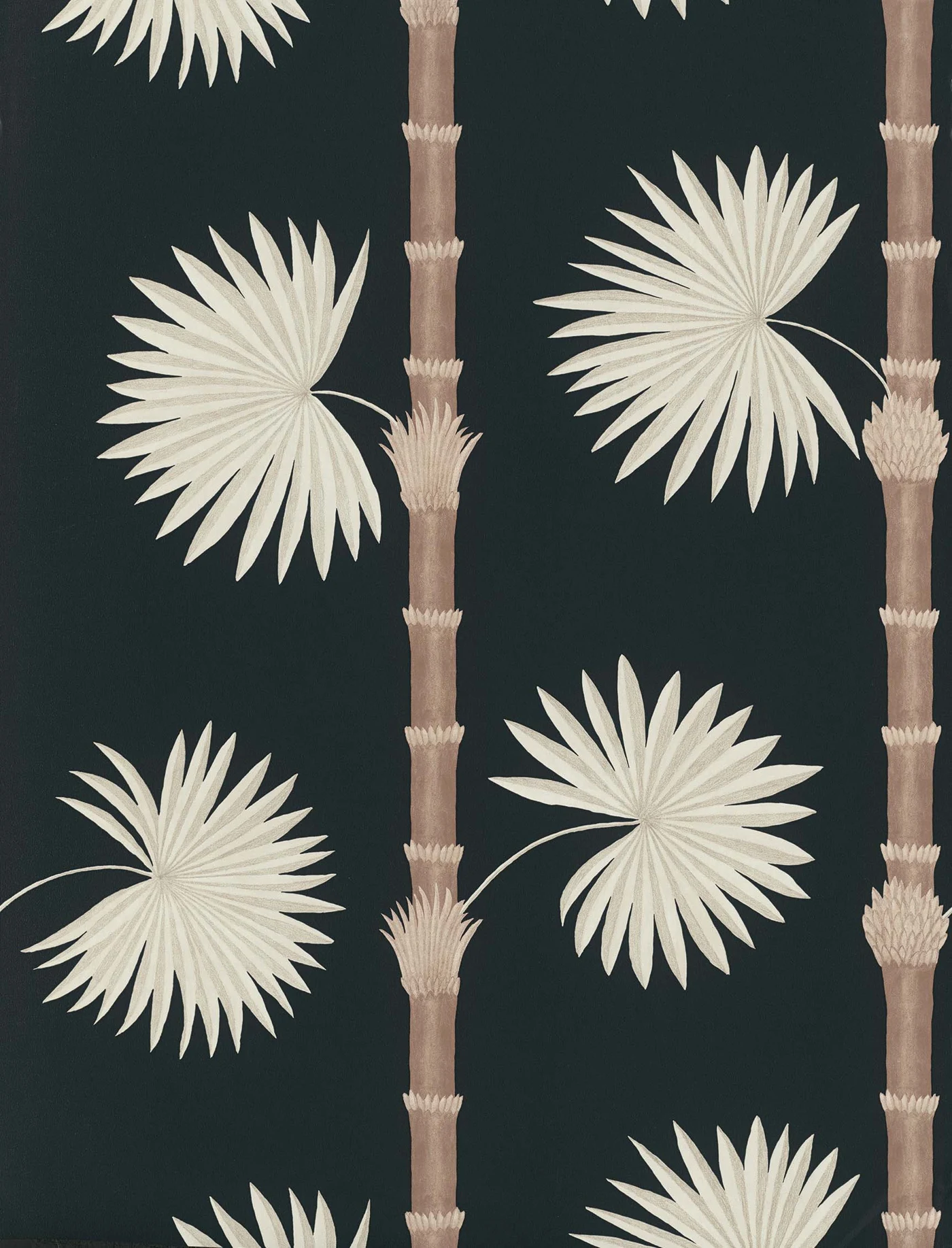 Hardy Palm — Acqua Viva