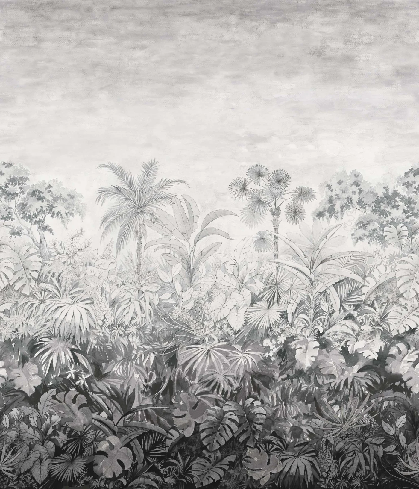 Jangala — Acqua Viva