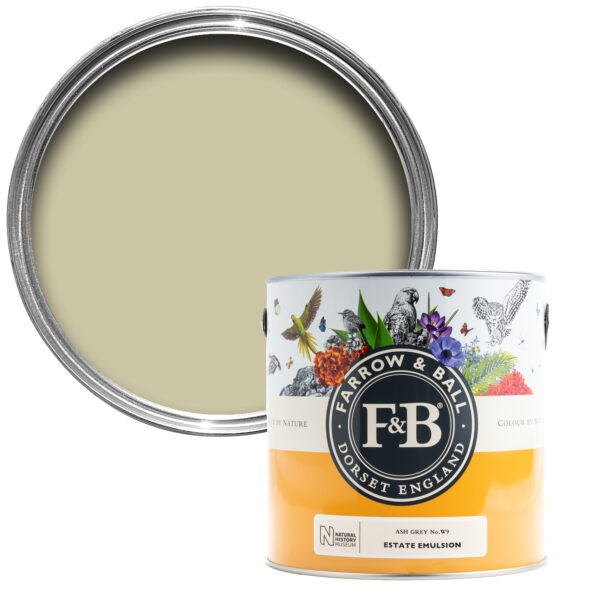 Ash Grey Farrow & Ball Colour By Nature Paint Natural History Museum