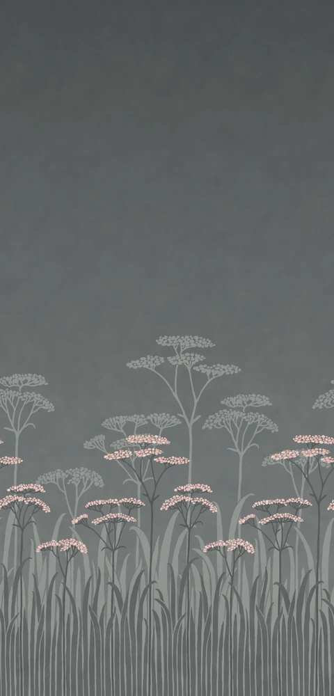 Achillea — Twilight