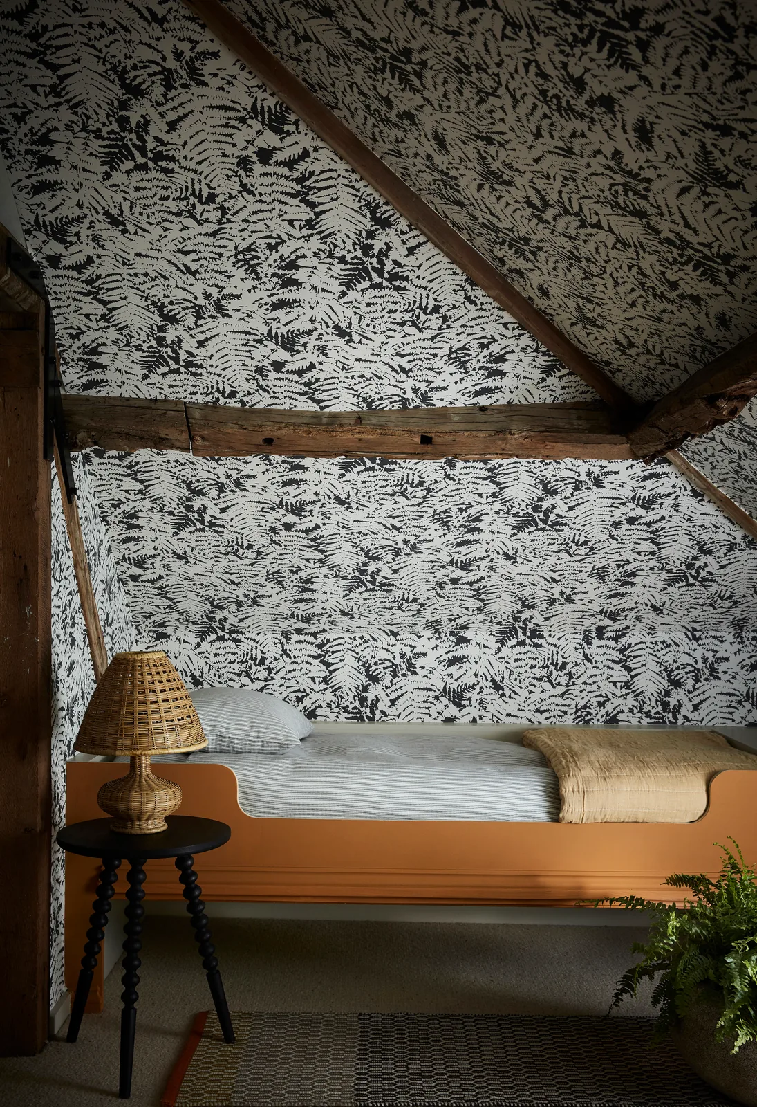 Fern-Off Black, Middle Buff 122