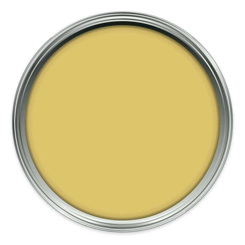 Daffodil paint colour