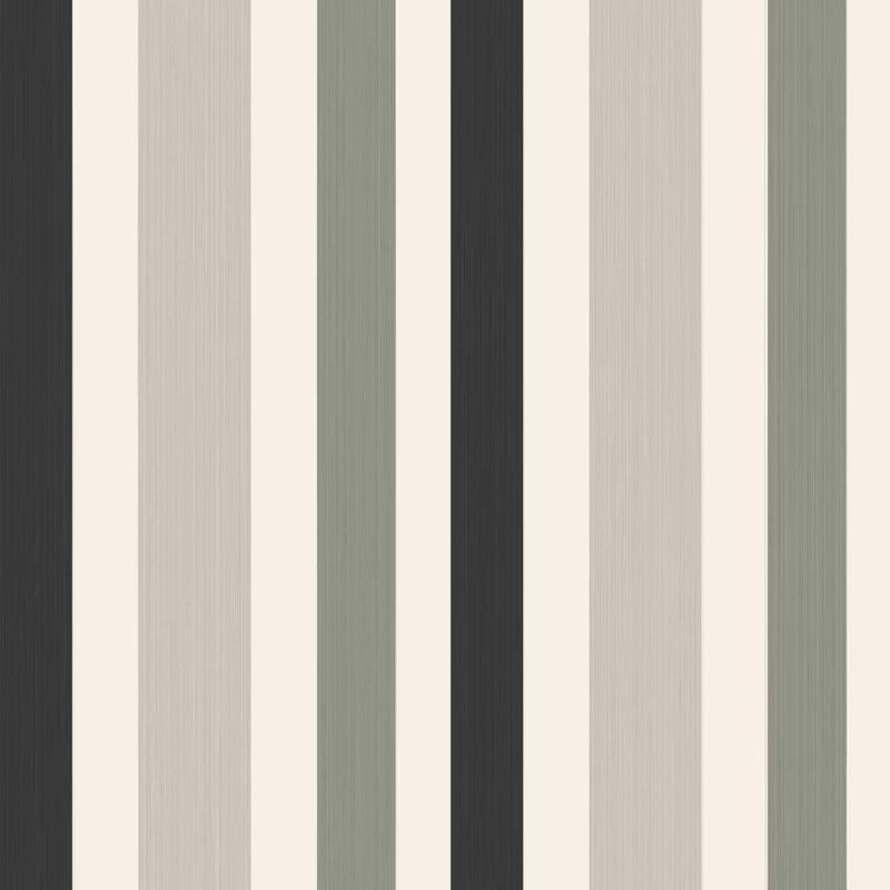 Chromatic Stripe 4201