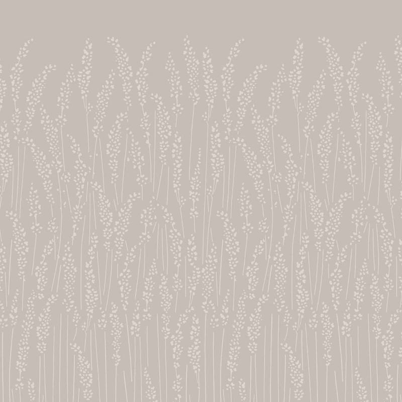 Feather Grass 5101