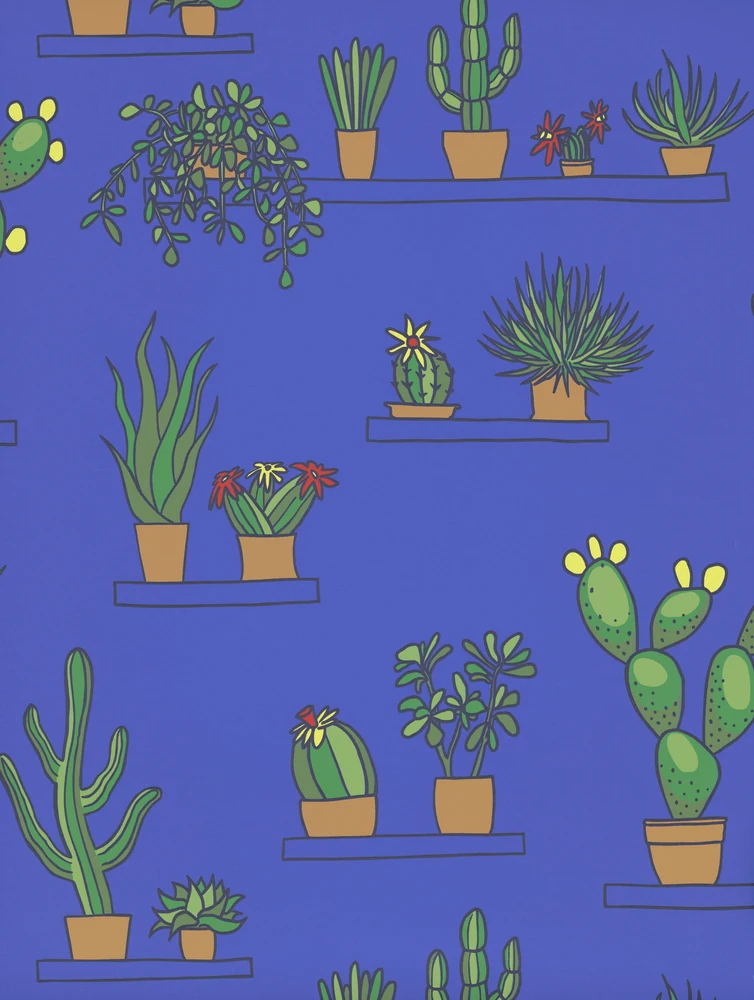 Mr Straw's Greenhouse — Mambo