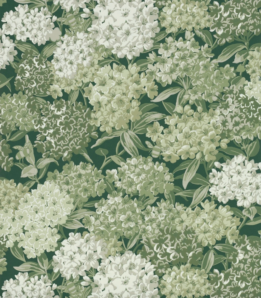 Rhododendron Walk — Puck