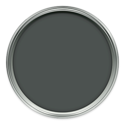 Acqua Viva paint colour