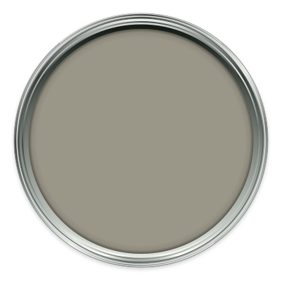 Moleskin paint colour