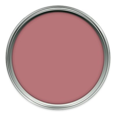Rhubarb paint colour