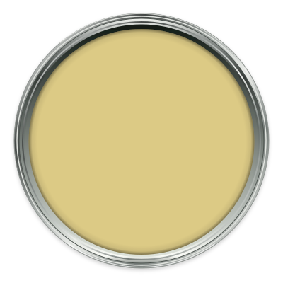 Scallion paint colour