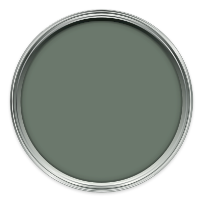 Fynbos paint colour