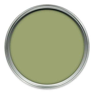 Chelsea Green II paint colour