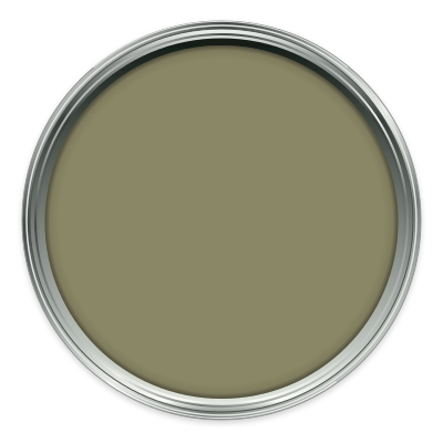 The Botanist paint colour