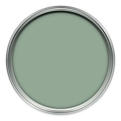 Salvia paint colour