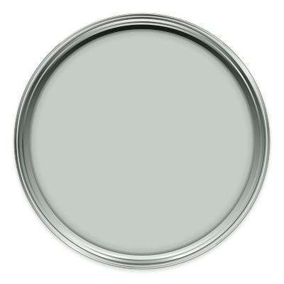 Steel IV paint colour