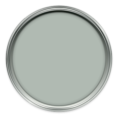 Steel V paint colour