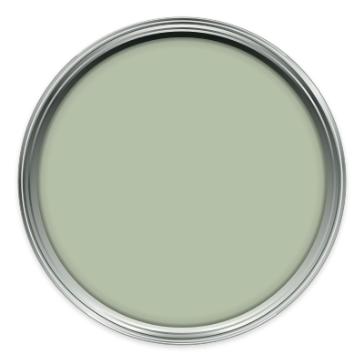 Sprig V paint colour