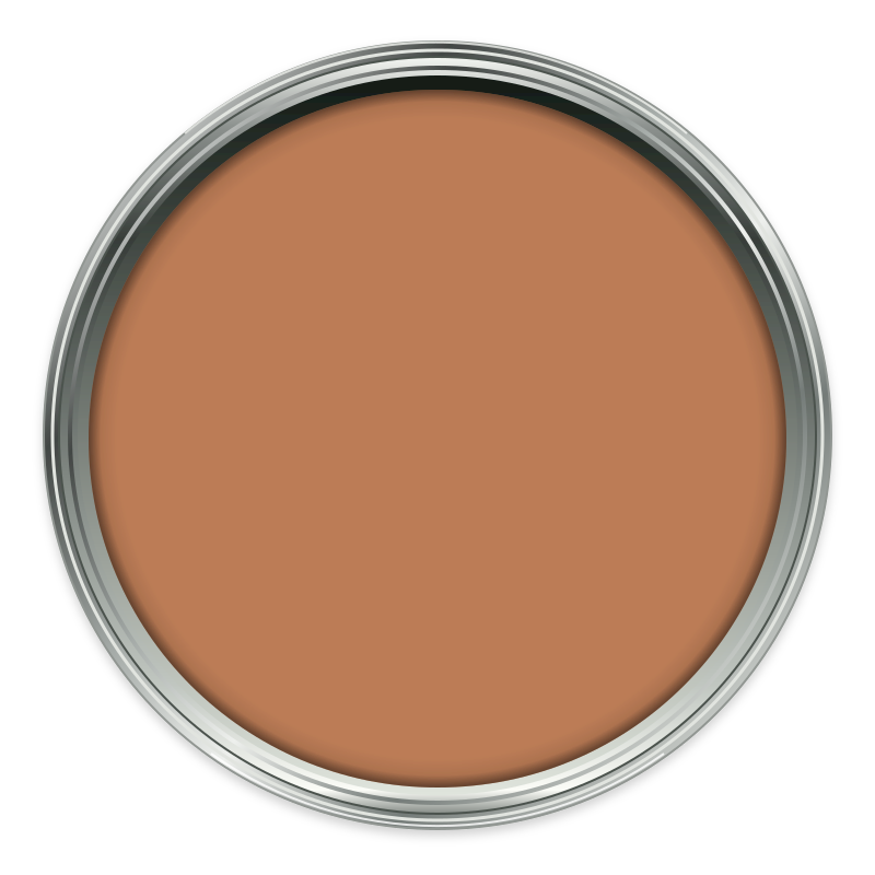 Tan Tan paint colour