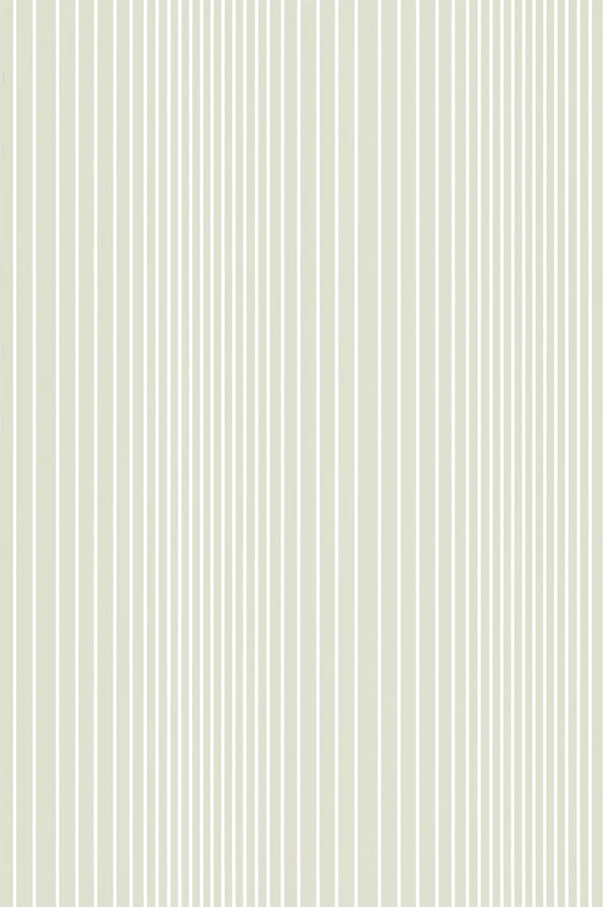 Ombré Plain — Seashell